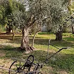 Spanja Vodice