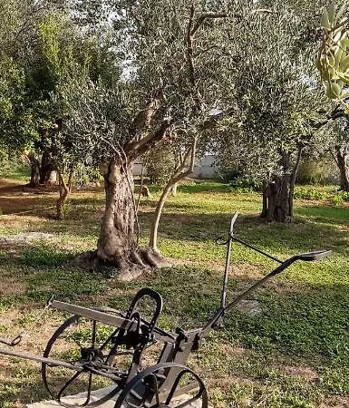 Spanja Vodice
